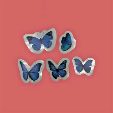 Verschiedene transparente Schmetterlings-/Libellenaufkleber.