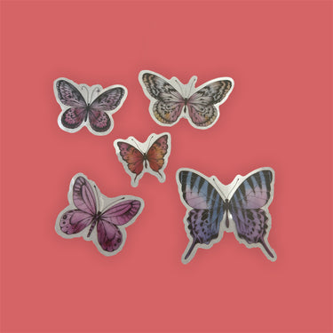 Verschiedene transparente Schmetterlings-/Libellenaufkleber.