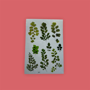 Transparente Aufkleber mit grünen Blättern