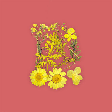 Blumen mischen sich gelb